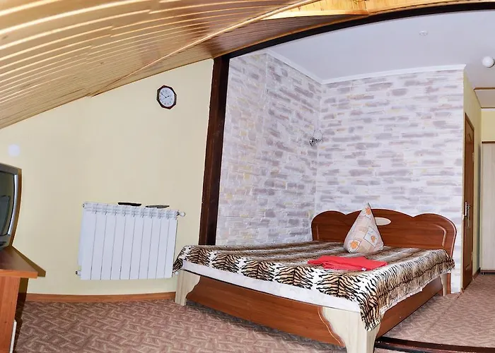 酒店 奥乐嘉娱酒店 特鲁斯卡韦茨