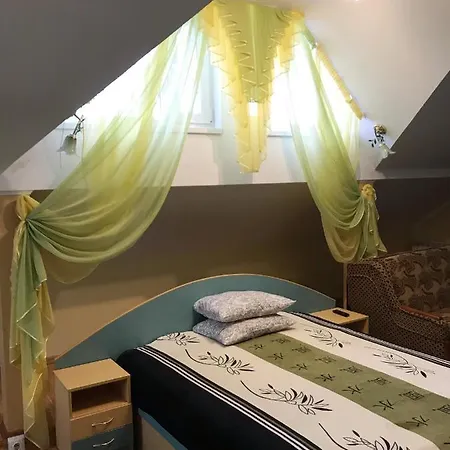 奥乐嘉娱酒店 酒店 特鲁斯卡韦茨