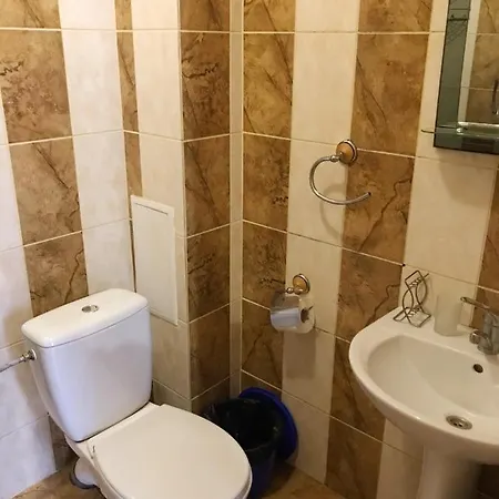 酒店 奥乐嘉娱酒店 3*